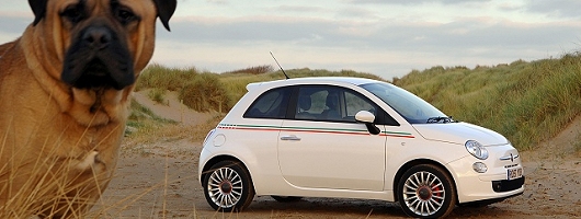 2008 Fiat 500. Image by Fiat.