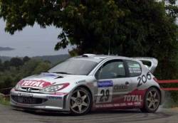 Didier Auriol came 3rd in 2001. Image by Peugeot. Click here for a larger image.