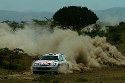 Harri Rovanpera, Peugeot 206 WRC, 2nd place. Image by Peugeot. Click here for a larger image.