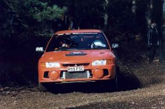 Photograph by Mark Sims - click for larger image