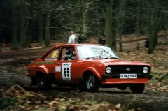 Photograph by Mark Sims - click for larger image