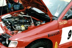 Photograph by Mark Sims - click for larger image