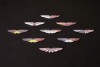 Special Aston Martin badges for V8 Vantage GTE. Image by Aston Martin.