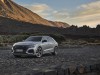 2020 Audi RS Q8. Image by Audi AG.