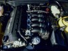 BMW M celebrates 40th anniversary. Image by BMW.