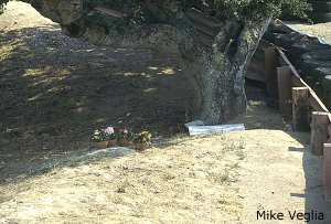 Memorial flowers for Gonzalo at the corkscrew on raceday