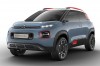 Compact SUV concept from Citroen. Image by Citroen.