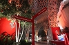 2010 Ferrari World. Image by Ferrari.