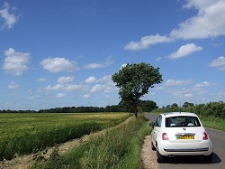 2008 Fiat 500. Image by Dave Jenkins.