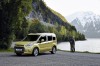 2014 Ford Tourneo Connect. Image by Ford.