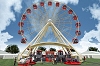 Honda Eye tweets on Goodwood. Image by Honda.