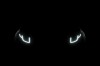 Light fantastic for new Range Rover Evoque. Image by Land Rover.