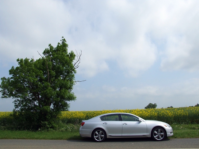 Lexus GrowS of age. Image by Dave Jenkins.