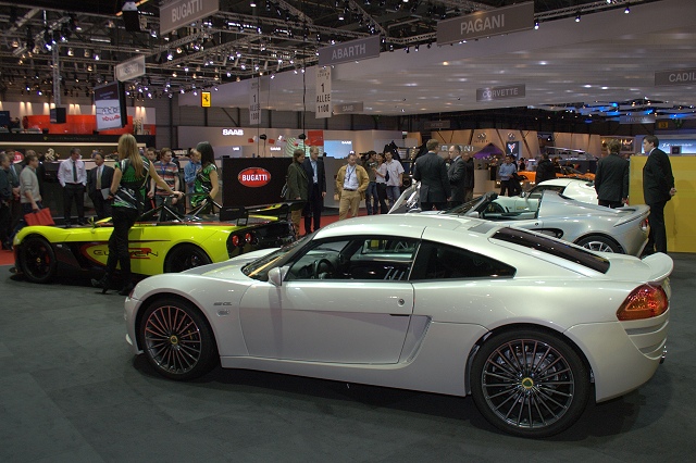 Lotus blossoms at Geneva. Image by Shane O' Donoghue.