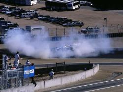 Mad Max doughnuts in tribute to Alex Zanardi. Picture by Mike Veglia.