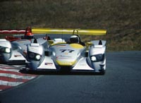 Picture copyright Mike Veglia.