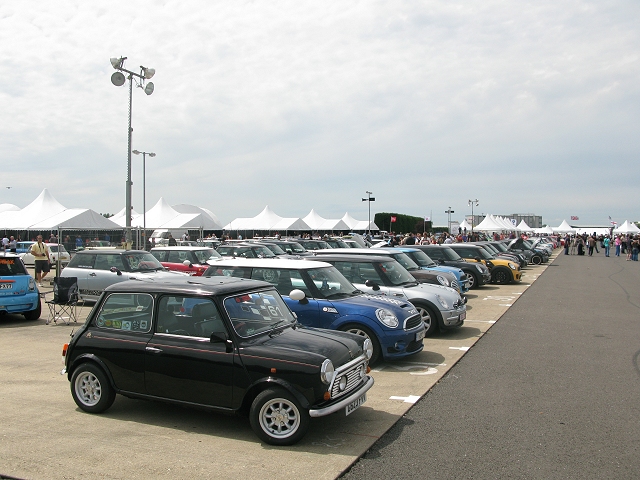 MINI parties large. Image by Mark Nichol.