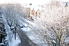 Snow. Image by Kyle Fortune.