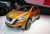 2013 Nissan Resonance concept. Image by Newspress.