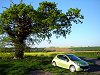 2007 Peugeot 207 GT. Image by James Jenkins.