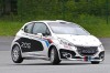 New Peugeot 208 to go rallying. Image by Peugeot.