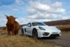 2013 Porsche Cayman. Image by Porsche.