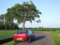 2008 Renault Laguna. Image by Dave Jenkins.