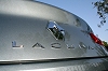 2008 Renault Laguna Coup. Image by Alisdair Suttie.