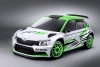 2014 Skoda Fabia R 5 Concept Car. Image by Skoda.