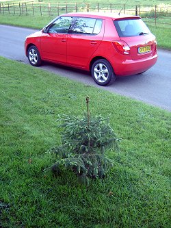 2007 Skoda Fabia. Image by James Jenkins.