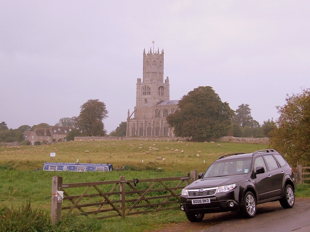 De-Forester-ation. Image by Dave Jenkins.