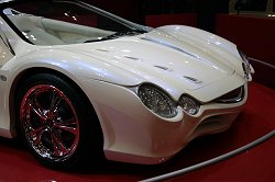 2005 Tokyo Motor Show. Image by Shane O' Donoghue.