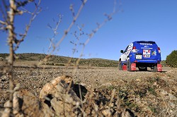 2010 Toyota Land Cruiser - Cooper Tires. Image by Max Earey.