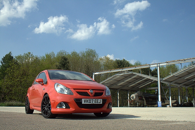 Little red devil. Image by Shane O' Donoghue.