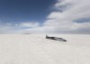 Venturi attempts EV land speed record. Image by Venturi.
